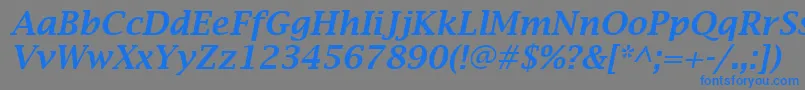 フォントLucidaBrightDemiboldItalic – 灰色の背景に青い文字