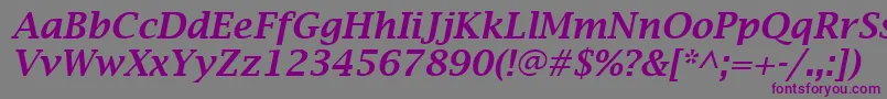 LucidaBrightDemiboldItalic-Schriftart – Violette Schriften auf grauem Hintergrund