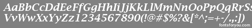 フォントLucidaBrightDemiboldItalic – 灰色の背景に白い文字