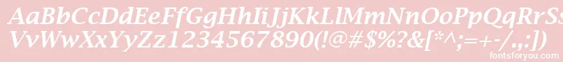 LucidaBrightDemiboldItalic Font – White Fonts on Pink Background