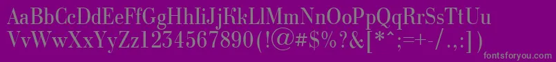 Шрифт ABodoninovanr – серые шрифты на фиолетовом фоне