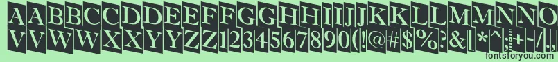 AAntiquettltrdcmdn Font – Black Fonts on Green Background