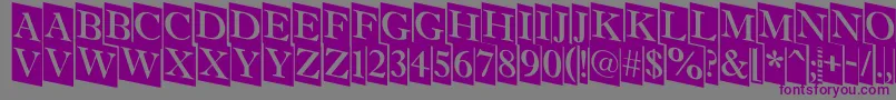 AAntiquettltrdcmdn Font – Purple Fonts on Gray Background