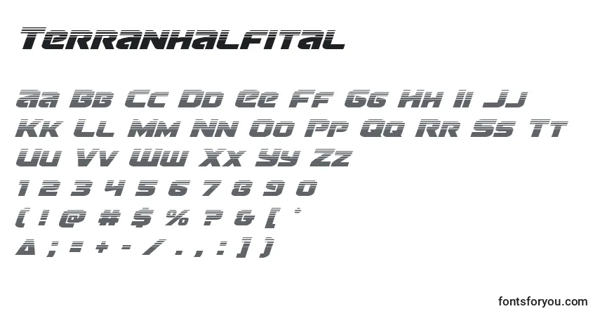 A fonte Terranhalfital – alfabeto, números, caracteres especiais