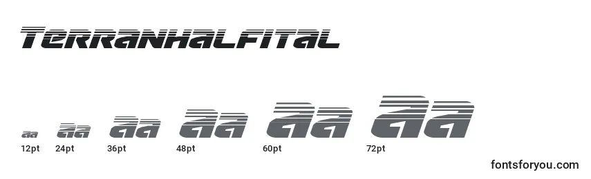 Terranhalfital Font Sizes