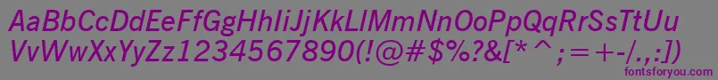 フォントNewsGothicDemiItalicBt – 紫色のフォント、灰色の背景