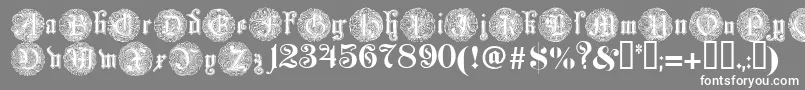 Monarchi-Schriftart – Weiße Schriften auf grauem Hintergrund