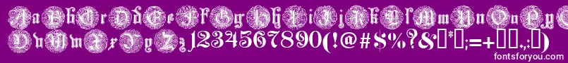 fuente Monarchi – Fuentes Blancas Sobre Fondo Morado