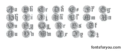 Обзор шрифта Monarchi
