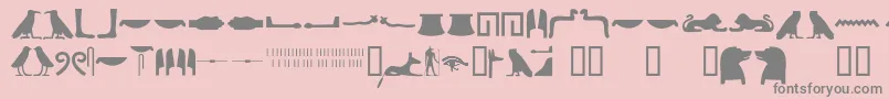 フォントEgyptianhieroglyphssilhouet – ピンクの背景に灰色の文字