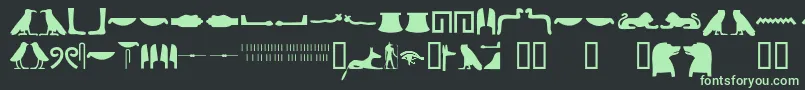 Egyptianhieroglyphssilhouet Font – Green Fonts on Black Background