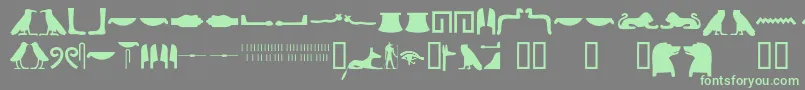 Fonte Egyptianhieroglyphssilhouet – fontes verdes em um fundo cinza