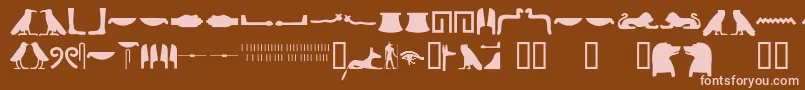 Fonte Egyptianhieroglyphssilhouet – fontes rosa em um fundo marrom