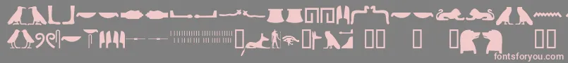 fuente Egyptianhieroglyphssilhouet – Fuentes Rosadas Sobre Fondo Gris