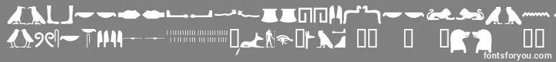 Egyptianhieroglyphssilhouet-fontti – valkoiset fontit harmaalla taustalla