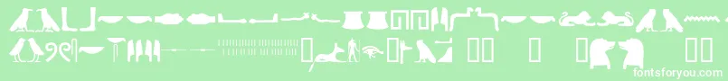 fuente Egyptianhieroglyphssilhouet – Fuentes Blancas Sobre Fondo Verde