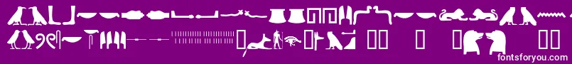 Egyptianhieroglyphssilhouet Font – White Fonts on Purple Background