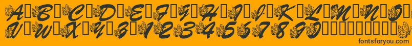 LmsHogleZooFlutterbys Font – Black Fonts on Orange Background