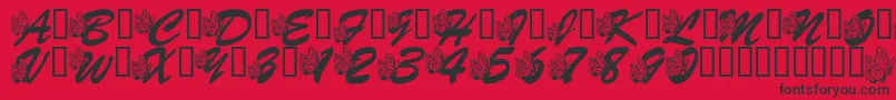 LmsHogleZooFlutterbys Font – Black Fonts on Red Background