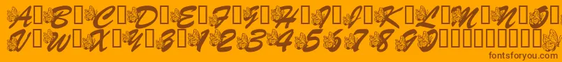 LmsHogleZooFlutterbys Font – Brown Fonts on Orange Background