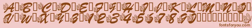 LmsHogleZooFlutterbys Font – Brown Fonts on Pink Background