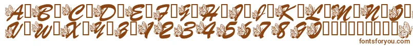 LmsHogleZooFlutterbys Font – Brown Fonts on White Background