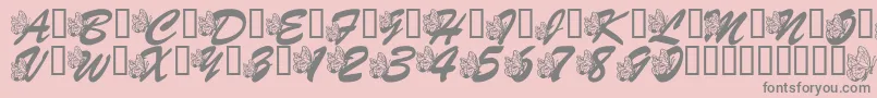 LmsHogleZooFlutterbys-Schriftart – Graue Schriften auf rosa Hintergrund