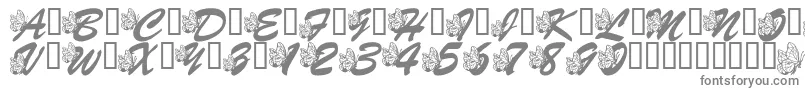 LmsHogleZooFlutterbys Font – Gray Fonts on White Background