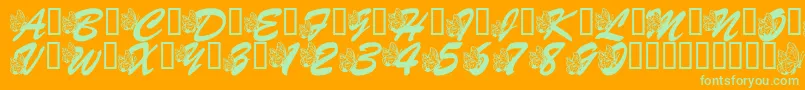 LmsHogleZooFlutterbys-Schriftart – Grüne Schriften auf orangefarbenem Hintergrund