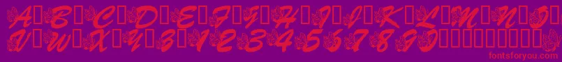 LmsHogleZooFlutterbys Font – Red Fonts on Purple Background