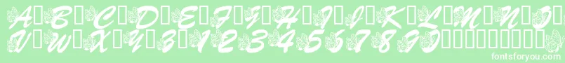 LmsHogleZooFlutterbys Font – White Fonts on Green Background