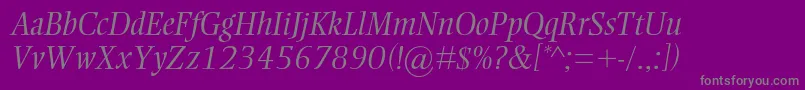 EllingtonmtstdLightitalic Font – Gray Fonts on Purple Background