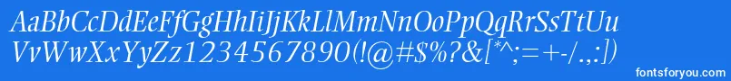 EllingtonmtstdLightitalic Font – White Fonts on Blue Background