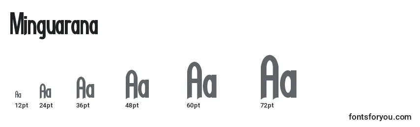 Размеры шрифта Minguarana