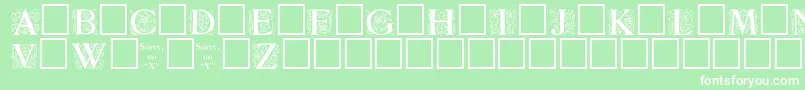 ZallmanRegular Font – White Fonts on Green Background