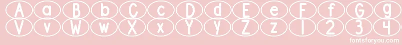 DjbStandardizedTestOval2 Font – White Fonts on Pink Background