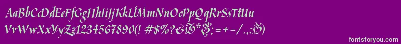 Police Kaligrafica – polices vertes sur fond violet
