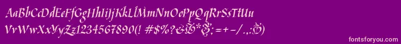 Kaligrafica Font – Pink Fonts on Purple Background