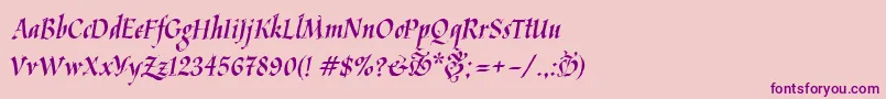 Kaligrafica Font – Purple Fonts on Pink Background