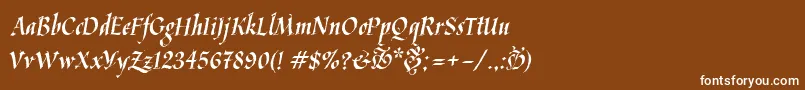 Kaligrafica Font – White Fonts on Brown Background