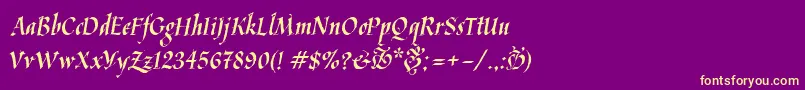 Kaligrafica Font – Yellow Fonts on Purple Background
