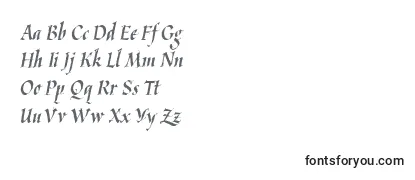 Обзор шрифта Kaligrafica