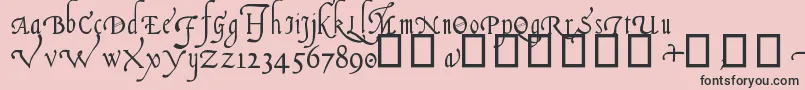 フォントItalianCursive16thC. – ピンクの背景に黒い文字