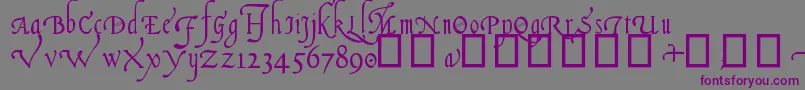 ItalianCursive16thC.-Schriftart – Violette Schriften auf grauem Hintergrund