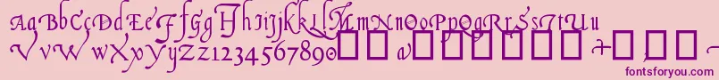 フォントItalianCursive16thC. – ピンクの背景に紫のフォント