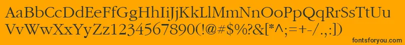 CyrillicgaramondNormal Font – Black Fonts on Orange Background