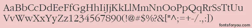CyrillicgaramondNormal Font – Black Fonts on Pink Background