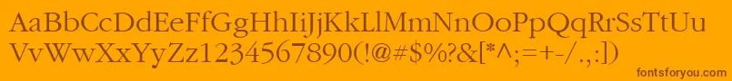 CyrillicgaramondNormal Font – Brown Fonts on Orange Background