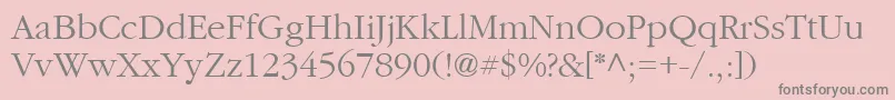 CyrillicgaramondNormal Font – Gray Fonts on Pink Background