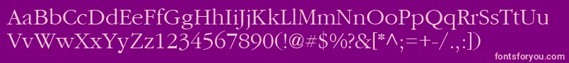 CyrillicgaramondNormal Font – Pink Fonts on Purple Background
